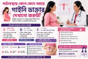 Gynecologist in Bogura